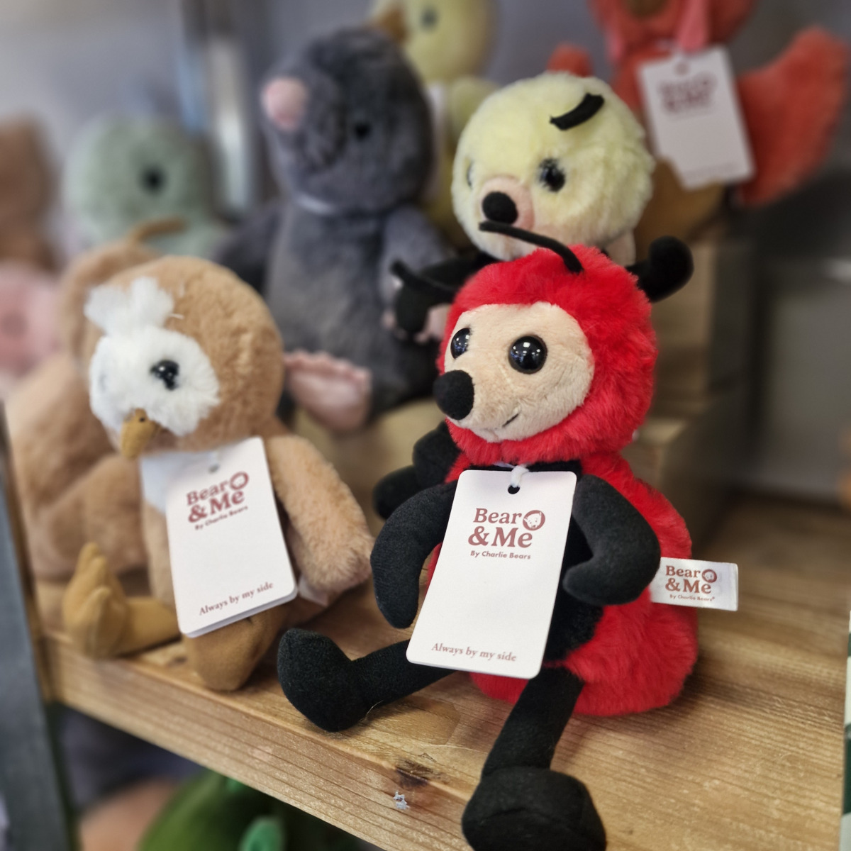 Charlie Bears Leaf Ladybird Rose Red Medium