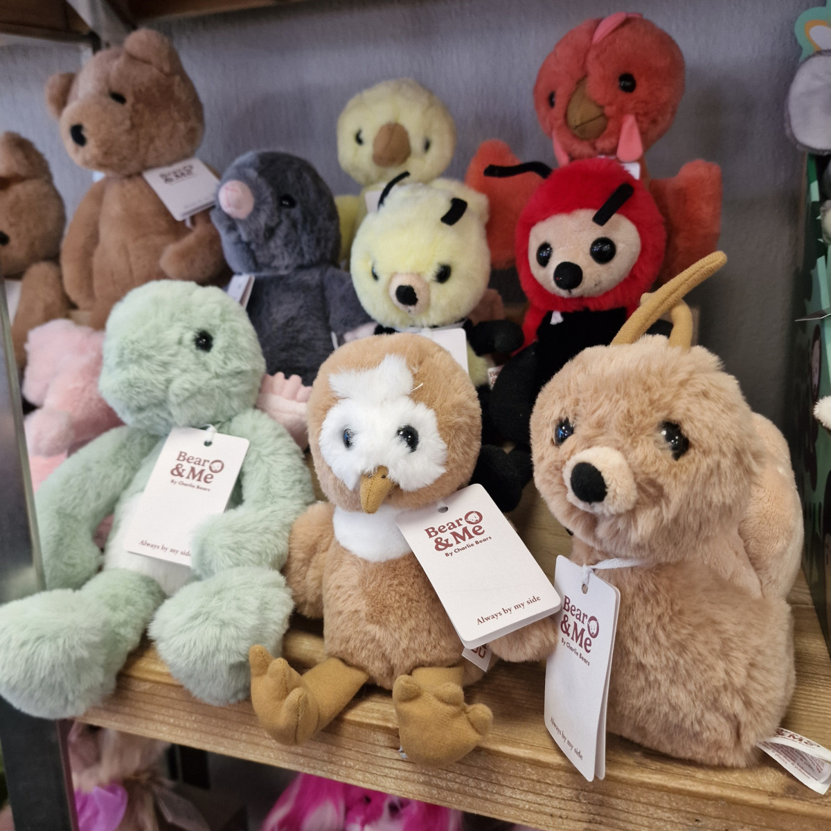 Charlie Bears Bear & Me