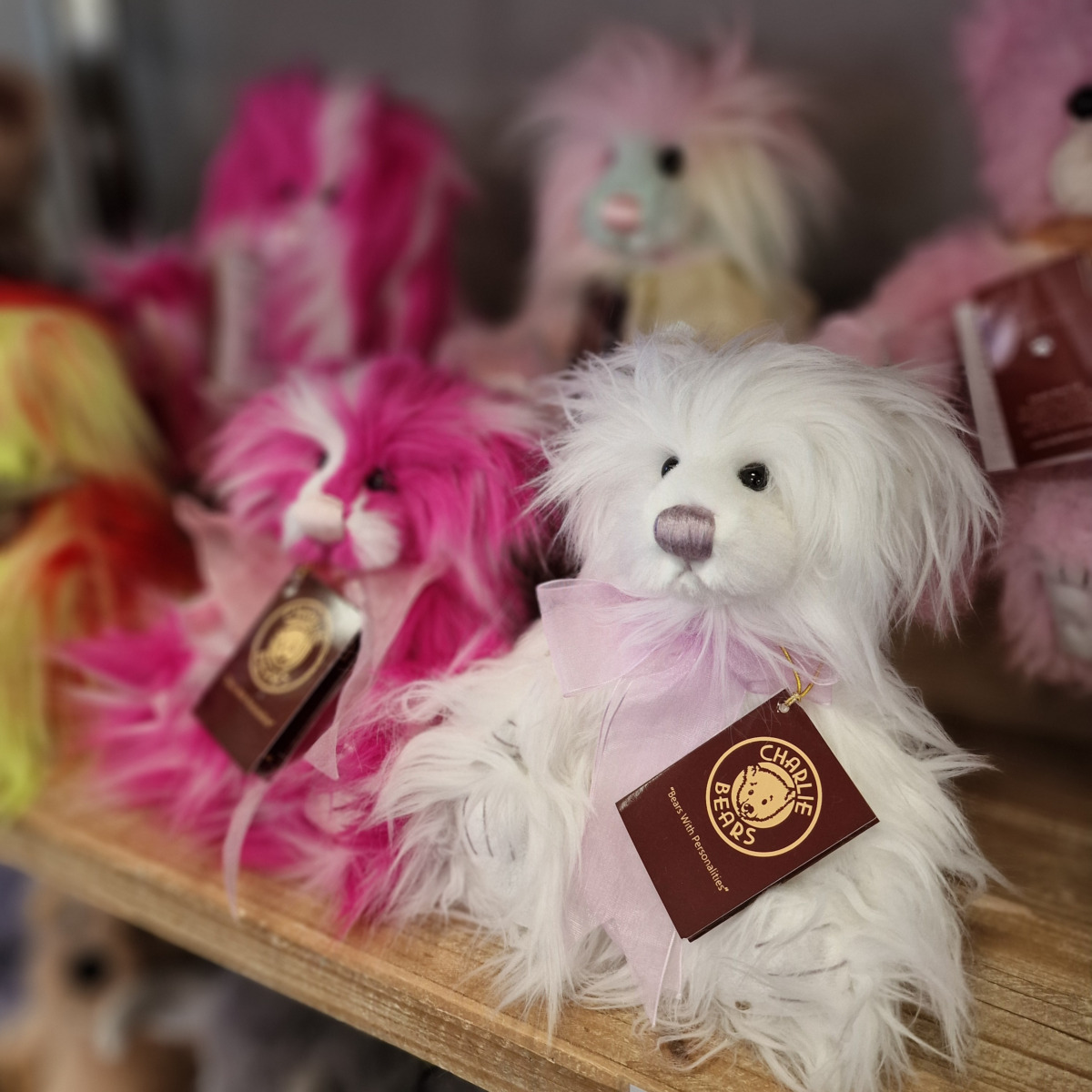 Fuzzy Charlie Bears