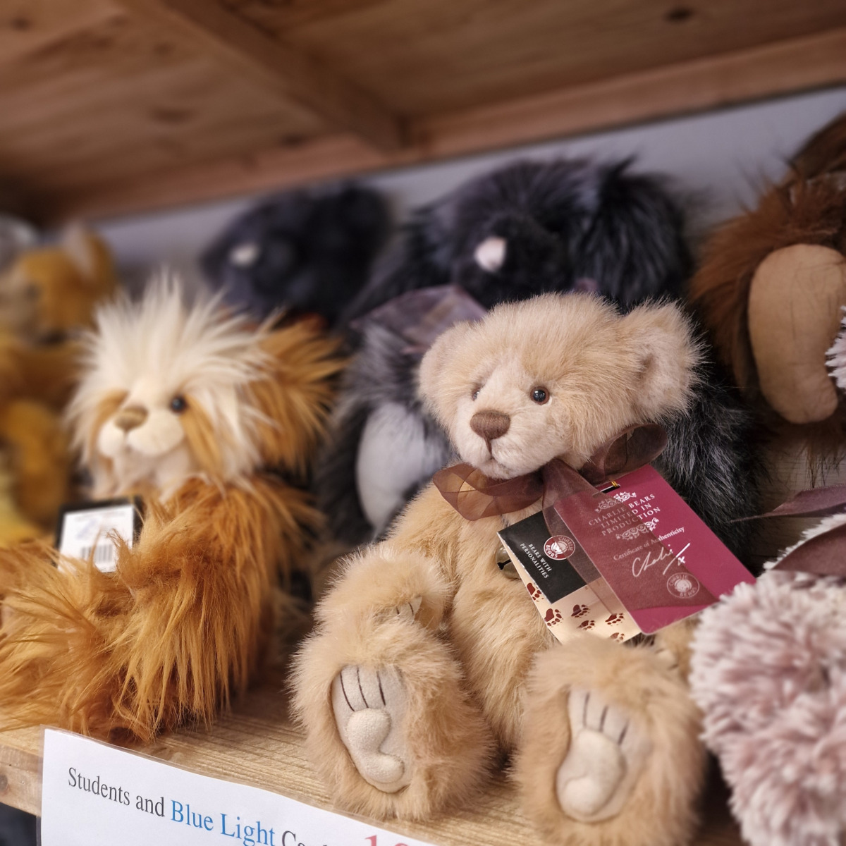 Charlie Bears at Bigwicks