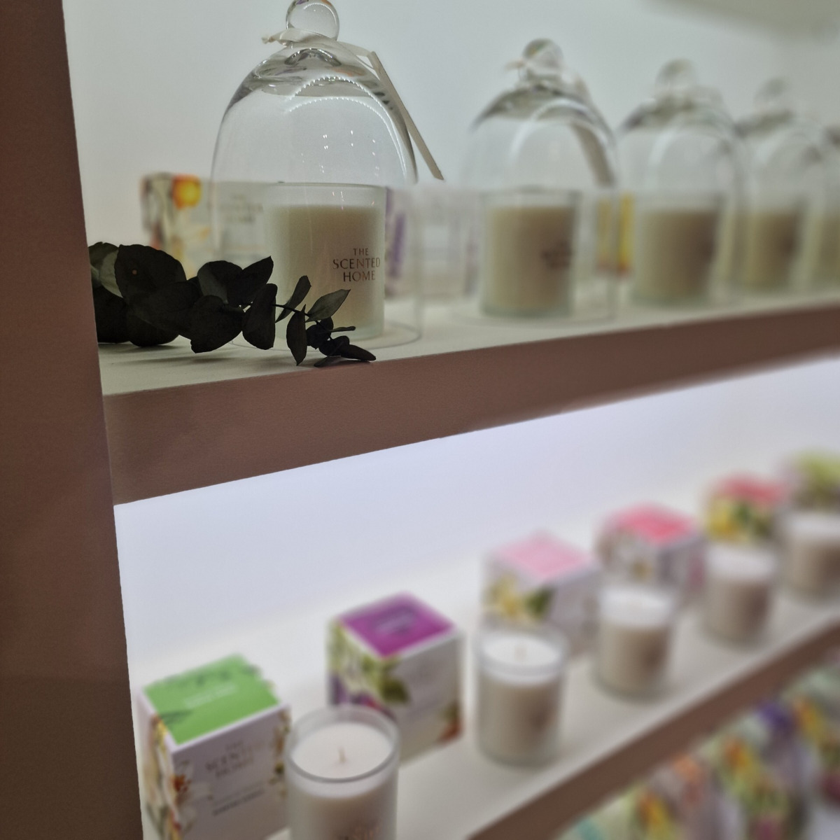 Ashleigh and Burwood reed diffusers and jar candles