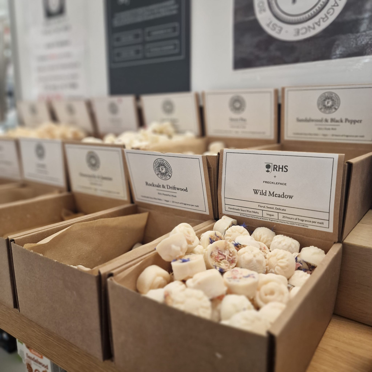 Freckleface wax melt display