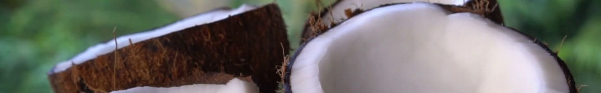 Coconut