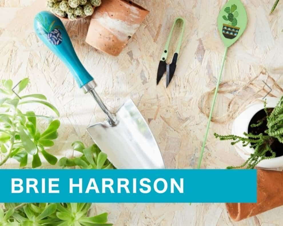 Burgon & Ball Brie Harrison Collection