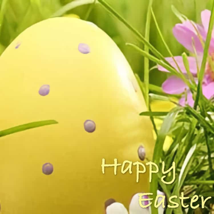 Happy Easter 2023 from all at Bigwicks.co.uk